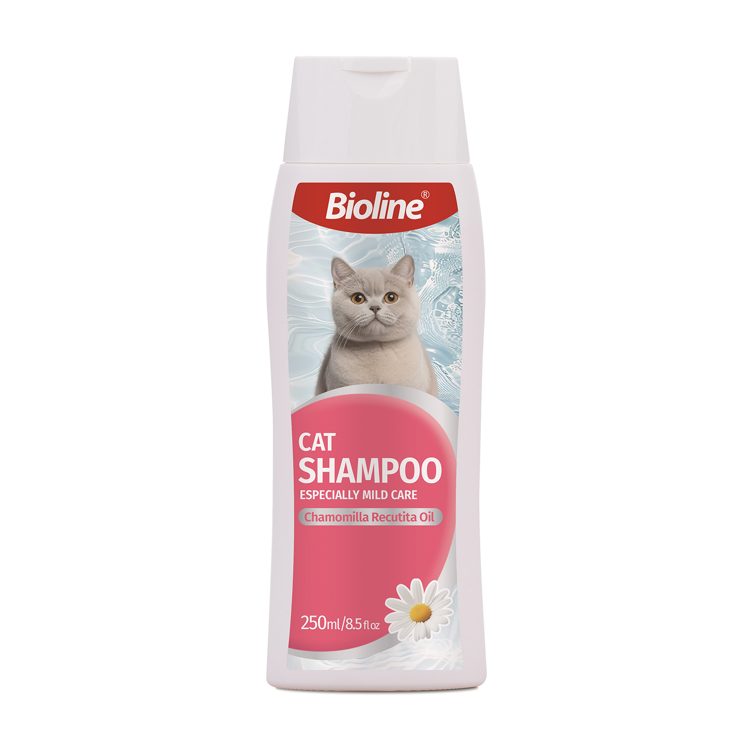 Cat Shampoo