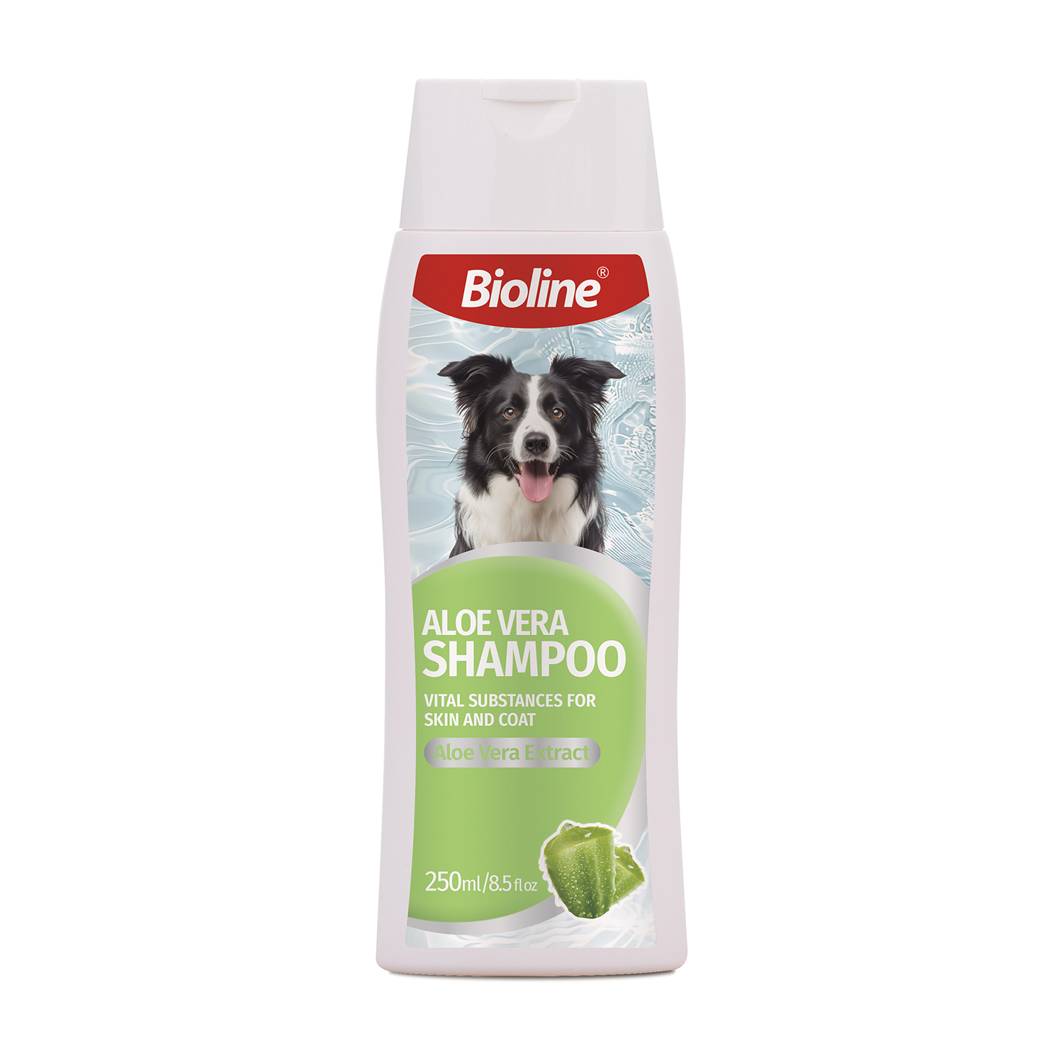 Aloe Vera Shampoo