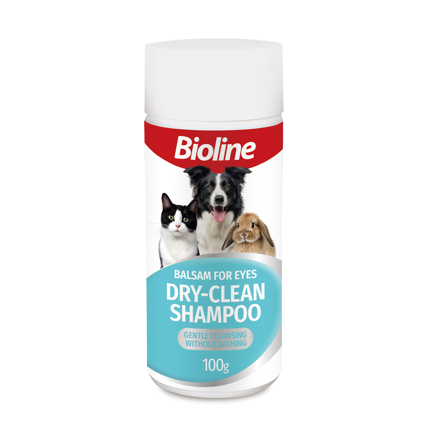Dry Shampoo