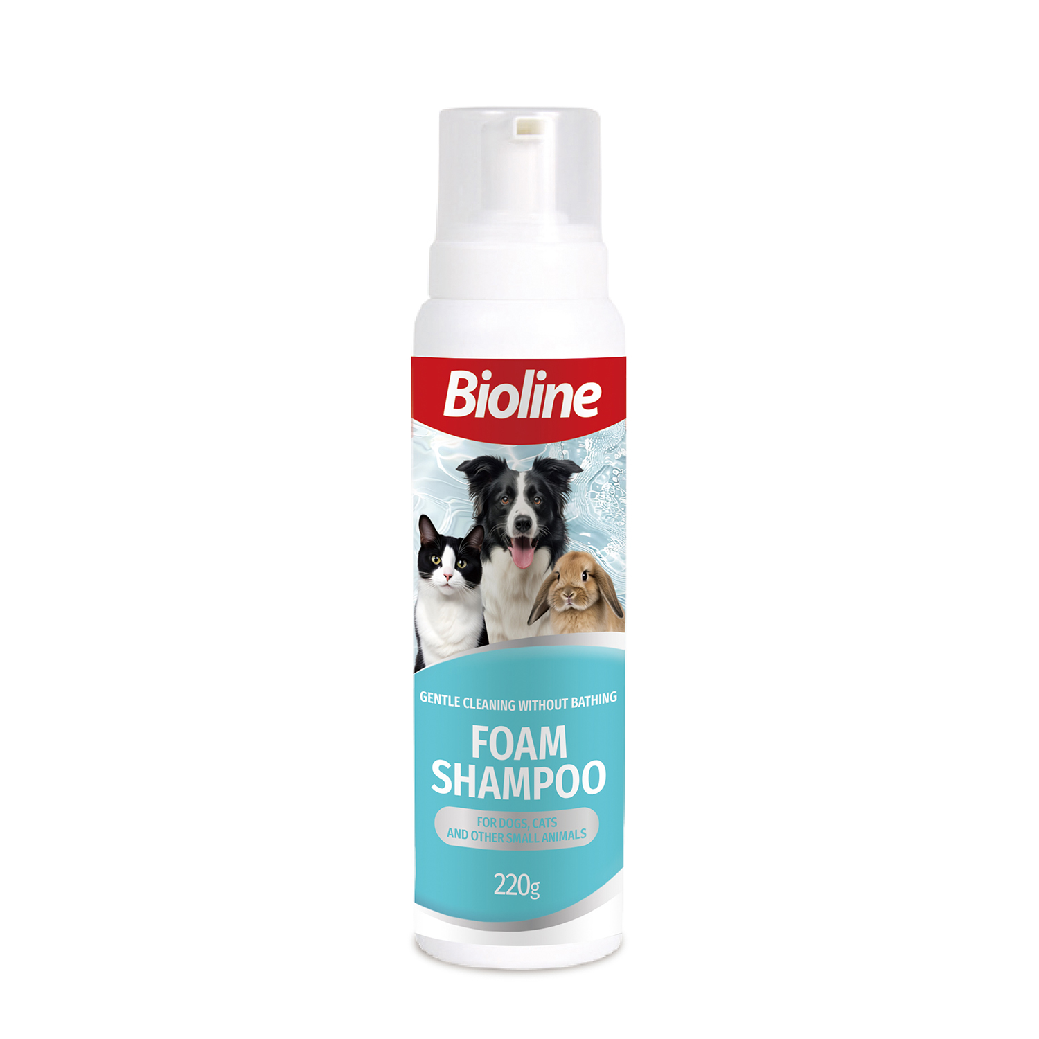 Dry Foam Shampoo