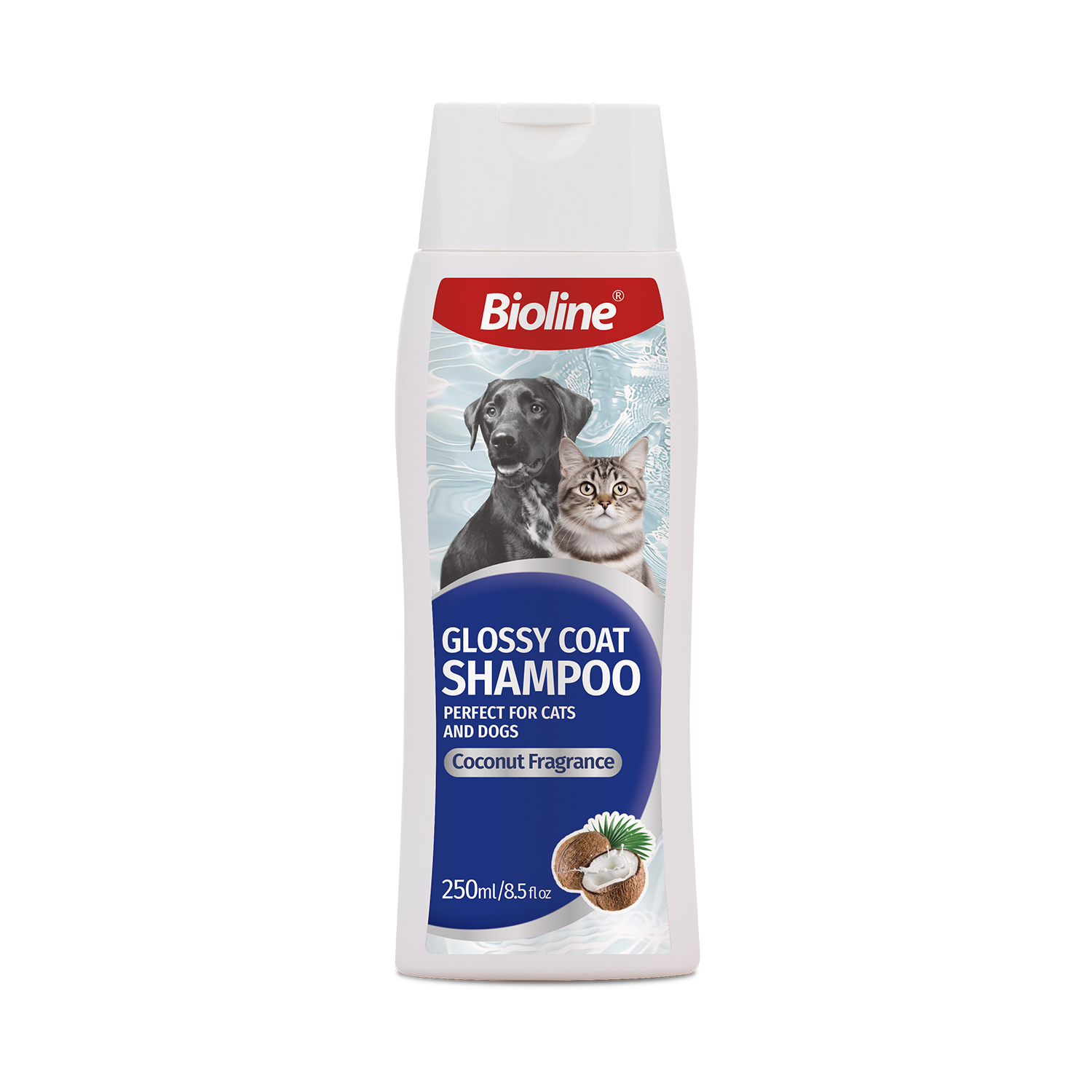 Glossy Coat Shampoo