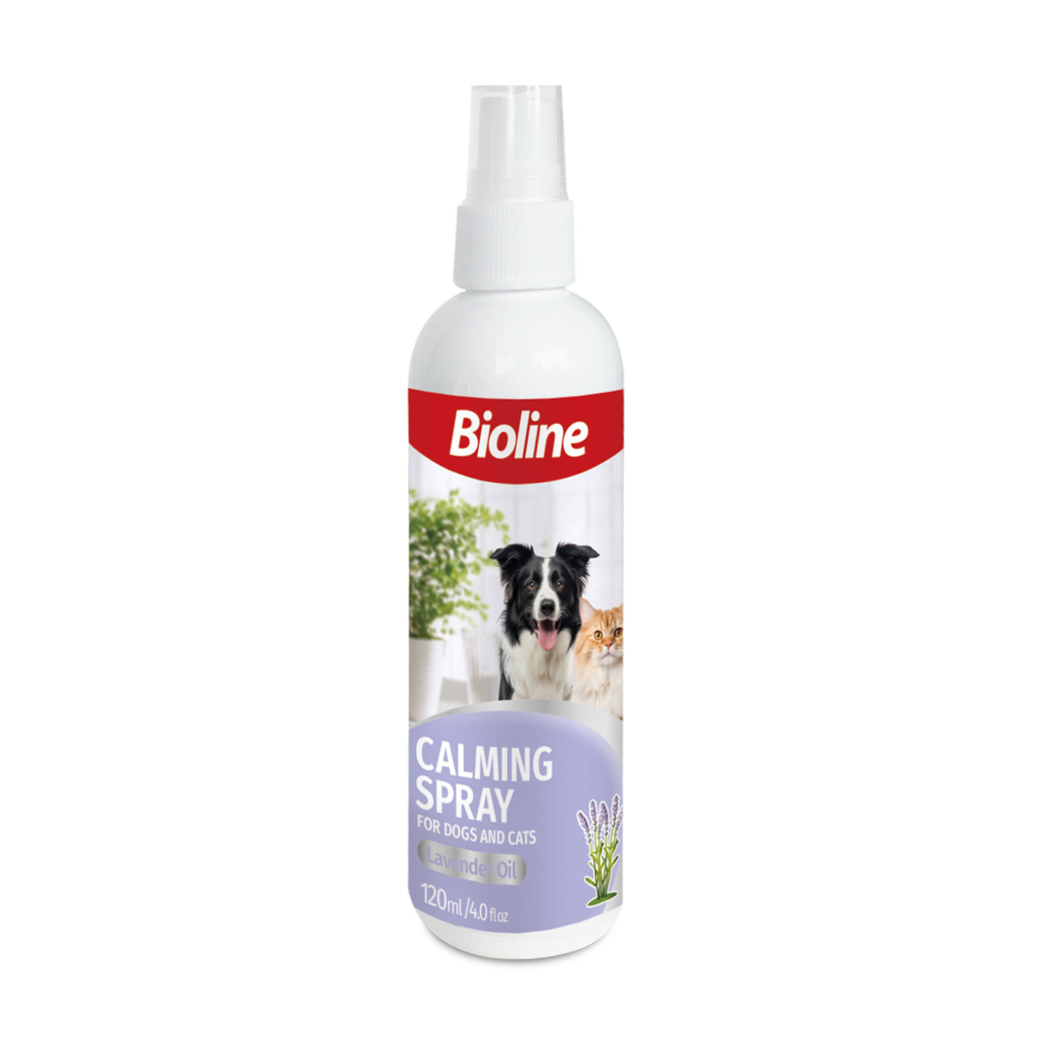Calming Spray
