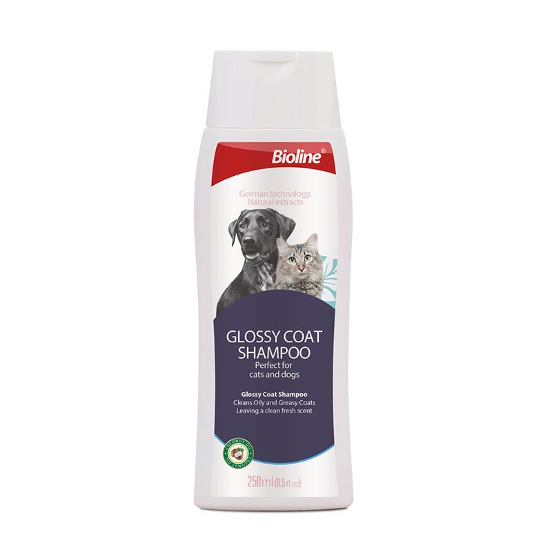 Glossy Coat Shampoo