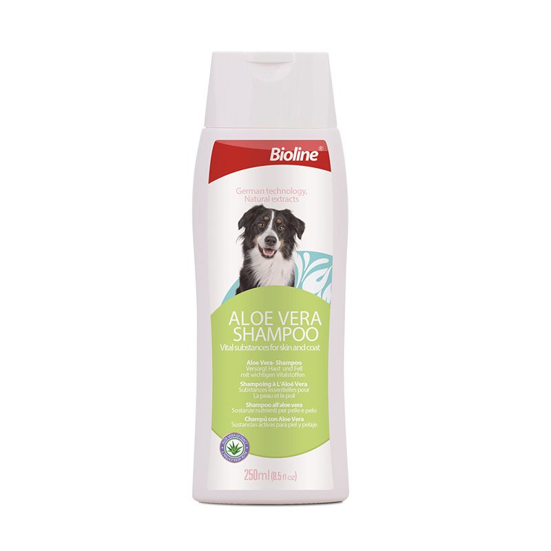 Aloe Vera Shampoo