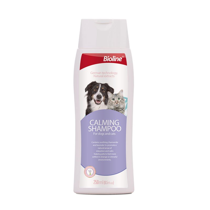 Calming Shampoo