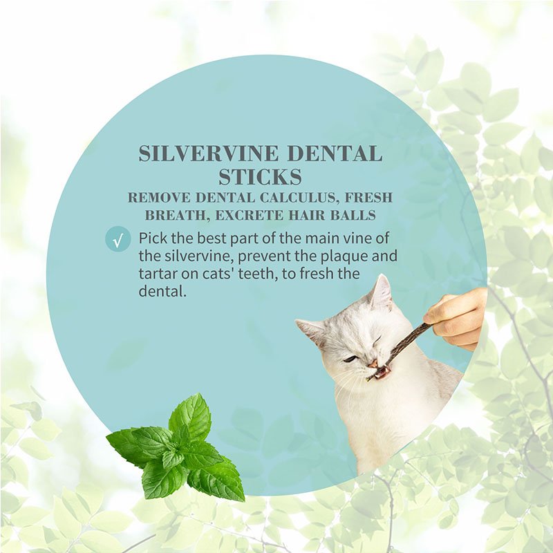 Catnip dental sticks hotsell
