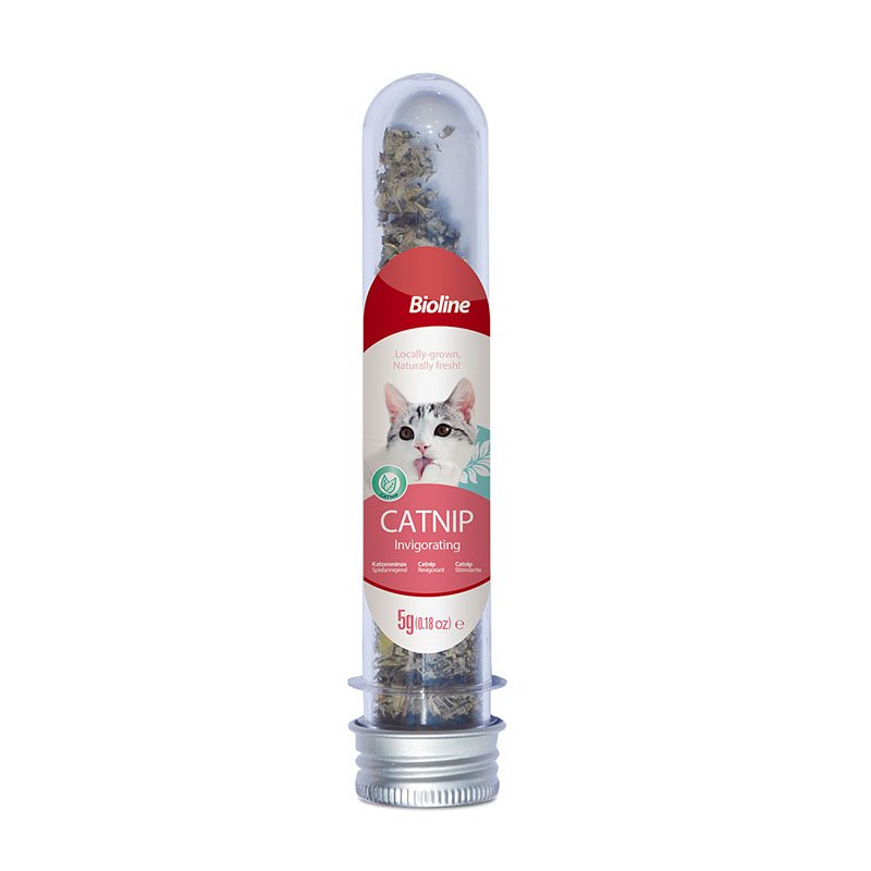 Catnip 20 g