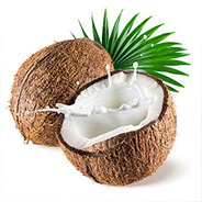 Natural Coconut