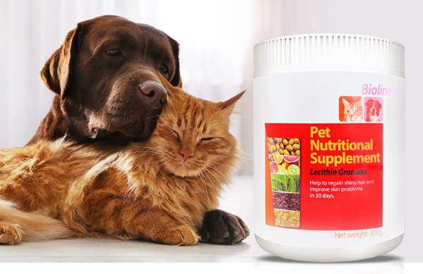 The effects of pet lecithin