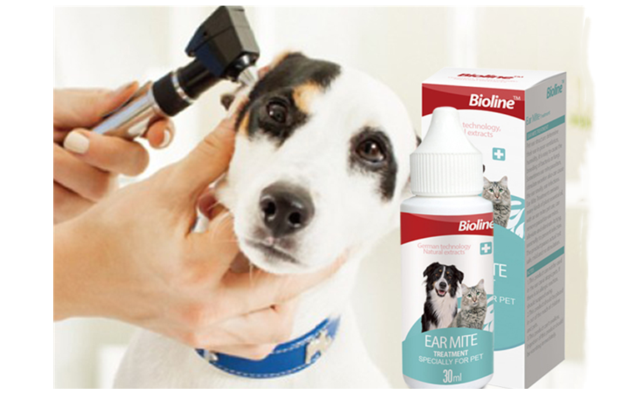 Understanding Pet Ear Mite Oil