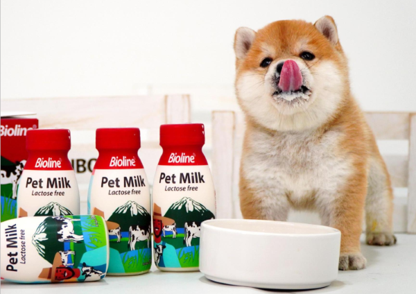 Which pets is lactose-free milk suitable for？