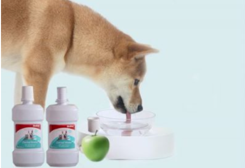 Pet mouthwash usage encyclopedia