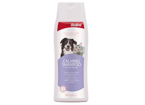Understand the Beautician’s Ultra Clean Cleansing Shampoo