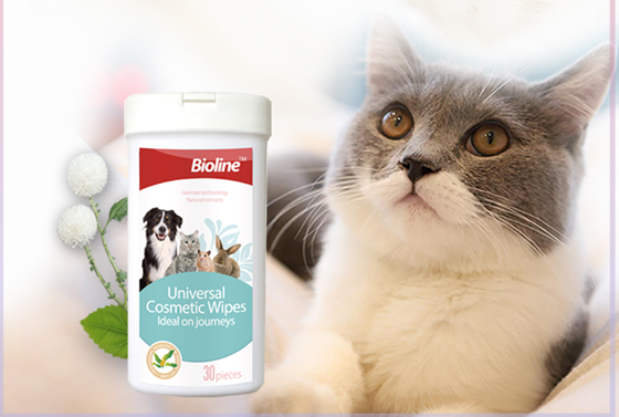 Make pet cleaning easier – Pet wipes