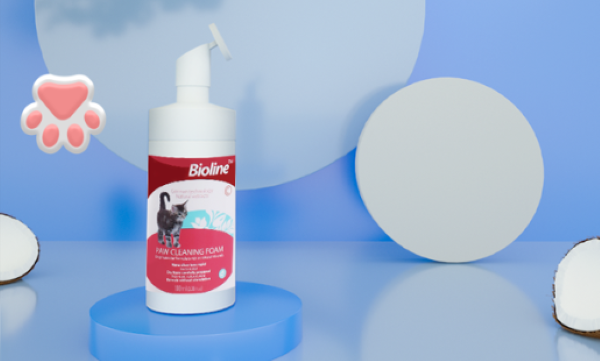 Encyclopedia of cat foot cleaning foam