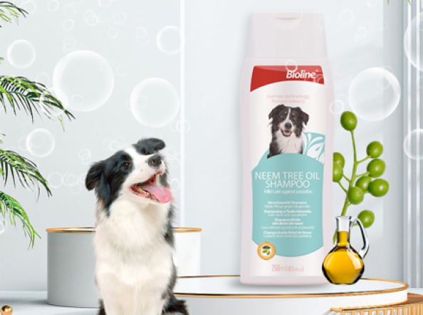 Popular Science on the Effect of Nut Oil Hair Protector