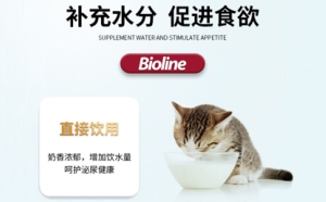 The correct way to give cats milk?
