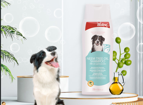 Popular Science on the Effect of Nut Oil Hair Protector