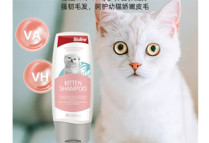 Exclusive for Kittens – Natural & Gentle Shampoo for Healthy Skin of Nursing Kittens