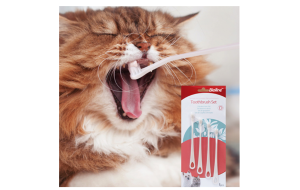 What are the methods for oral care in pets?