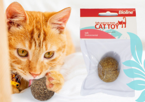 The Effects and Uses of Catnip on Cats？
