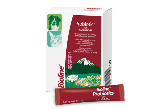 How to scientifically regulate the digestive system of pets?