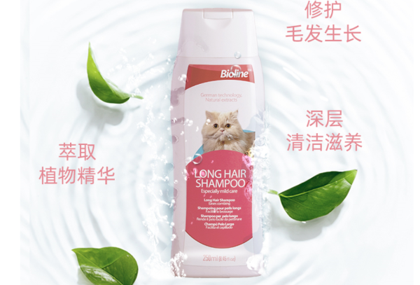 How to take care of a long haired cat?