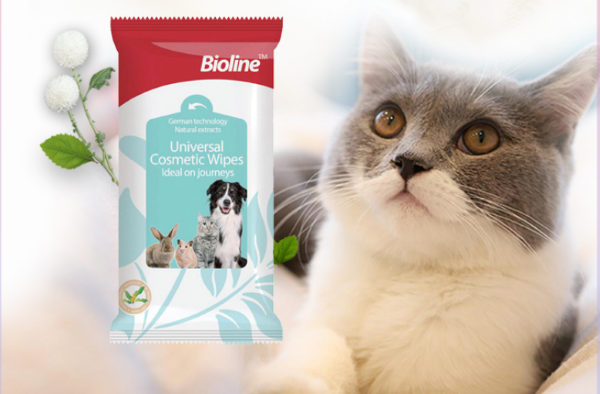 Pet daily cleaning and care – Choose the right method to safeguard the health of your furry friend